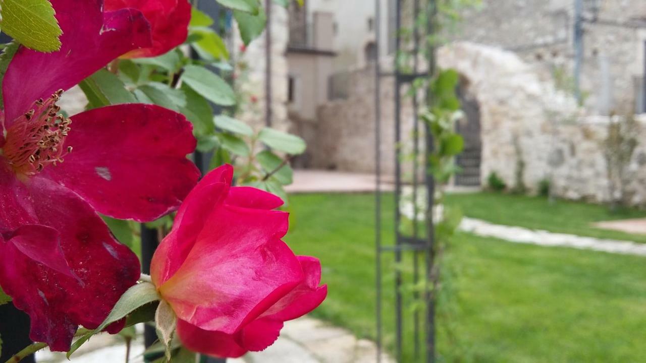 Alloggi Agrituristici Antica Dimora Villa San Demetrio ne' Vestini Exterior foto